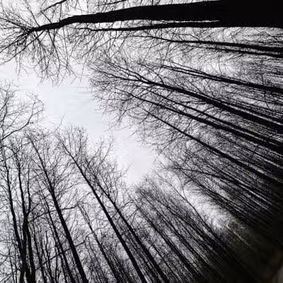 Walnut Woods Metro Park - Groveport, OH