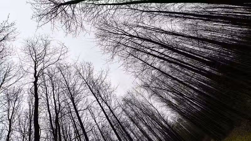 Walnut Woods Metro Park - Groveport, OH