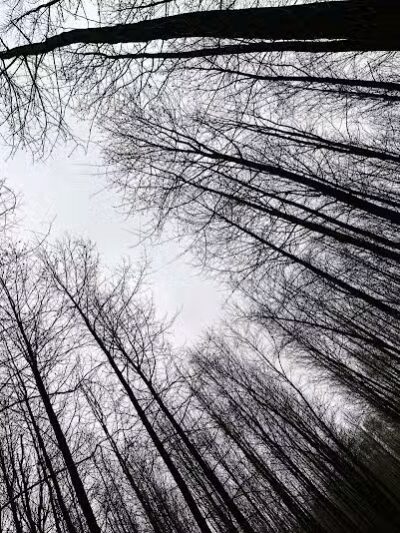 Walnut Woods Metro Park - Groveport, OH