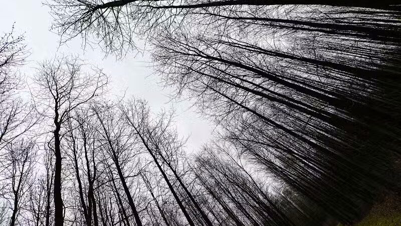 Walnut Woods Metro Park - Groveport, OH