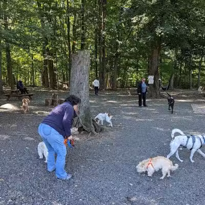 Hamden Dog Park - Hamden, CT