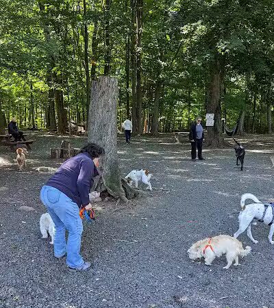 Hamden Dog Park - Hamden, CT