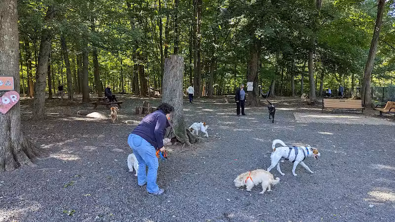 Hamden Dog Park - Hamden, CT