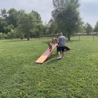 Holly's Dog Park - Hamilton, OH
