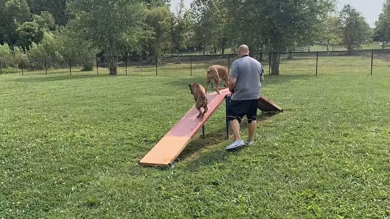 Holly's Dog Park - Hamilton, OH