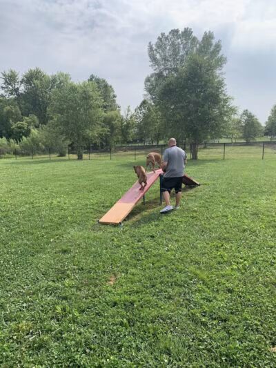 Holly's Dog Park - Hamilton, OH