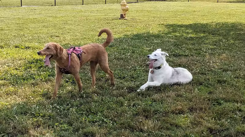 Holly's Dog Park - Hamilton, OH
