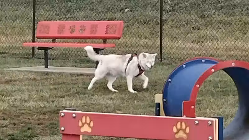 Holly's Dog Park - Hamilton, OH