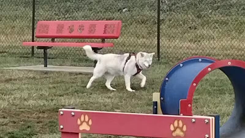 Holly's Dog Park - Hamilton, OH