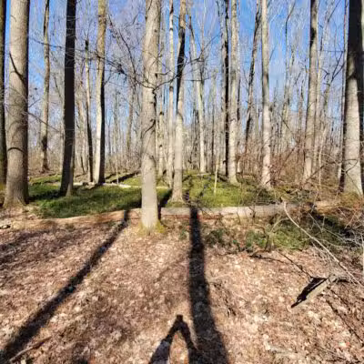 Hamilton Dog park - Hamilton Township, NJ