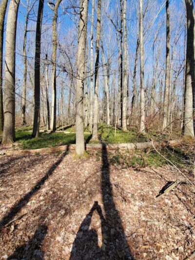 Hamilton Dog park - Hamilton Township, NJ