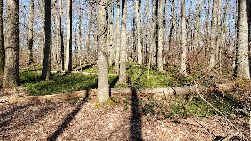 Hamilton Dog park - Hamilton Township, NJ