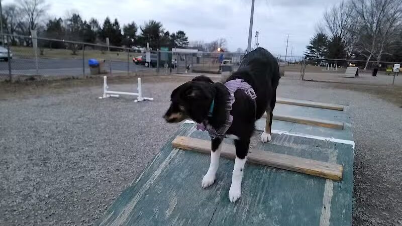 Hamilton Dog park - Hamilton Township, NJ