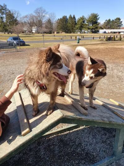 Hamilton Dog park - Hamilton Township, NJ