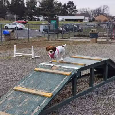Hamilton Dog park - Hamilton Township, NJ