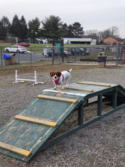 Hamilton Dog park - Hamilton Township, NJ