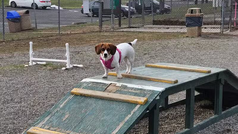 Hamilton Dog park - Hamilton Township, NJ