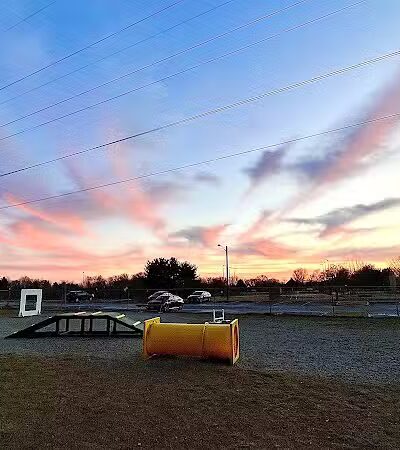 Hamilton Dog park - Hamilton Township, NJ