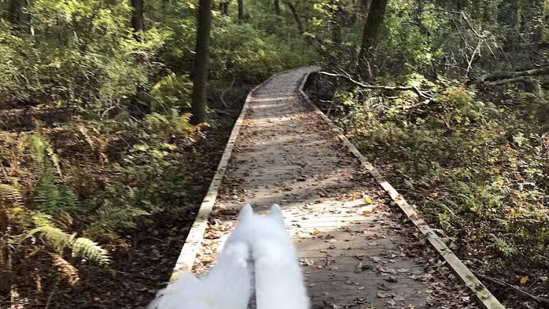 Hamilton Dog park - Hamilton Township, NJ