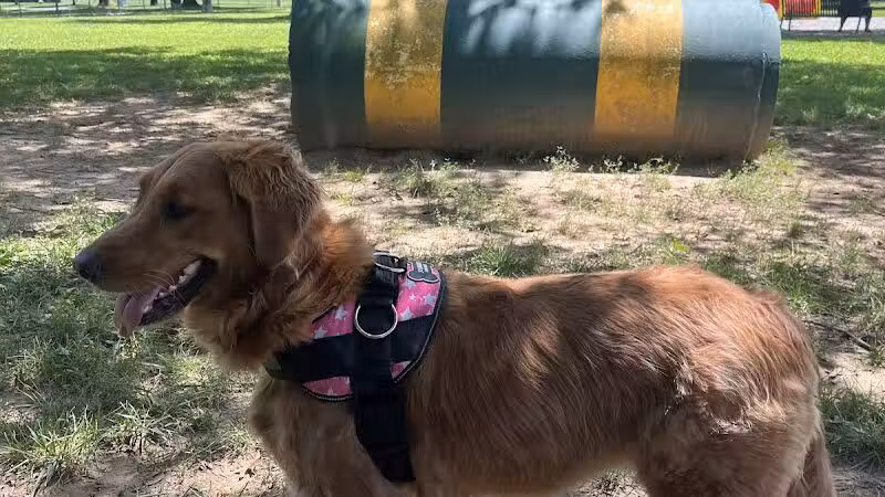 Hamilton Dog park - Hamilton Township, NJ
