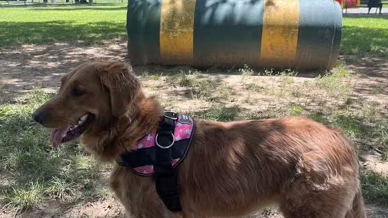 Hamilton Dog park - Hamilton Township, NJ