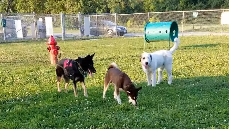 Dempsey Dog Park - Hannibal, MO