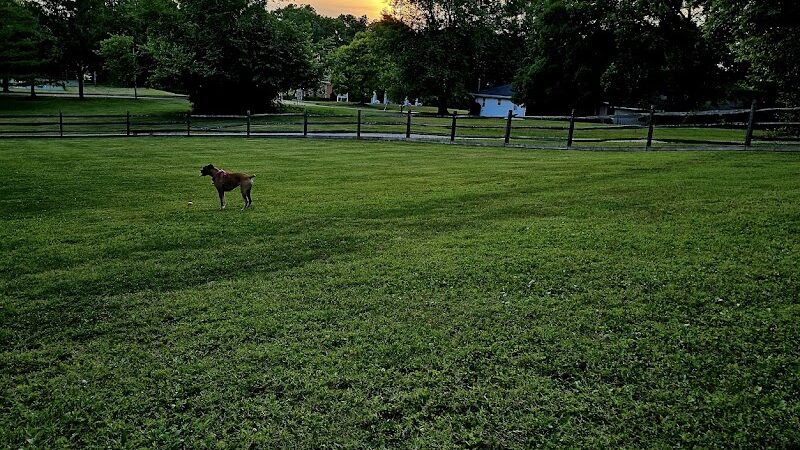 Harrison Dog Park - Harrison, OH