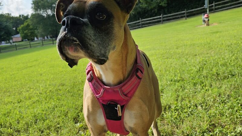 Harrison Dog Park - Harrison, OH