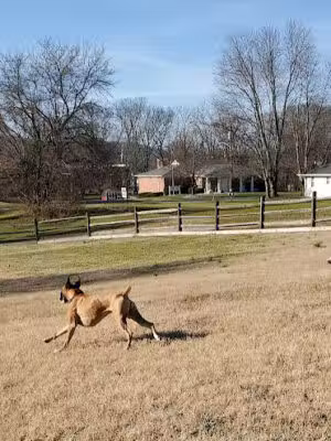 Harrison Dog Park - Harrison, OH