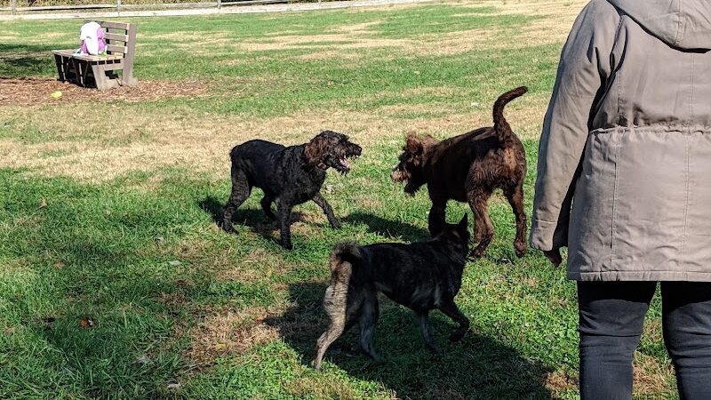 Harrison Dog Park - Harrison, OH