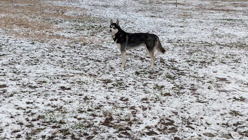 Harrison Dog Park - Harrison, OH