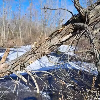 Haver Ridge Metro Park - Harrod, OH
