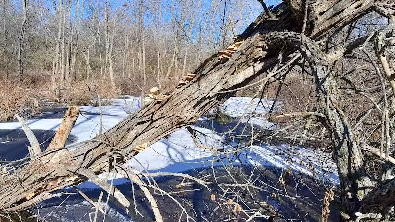 Haver Ridge Metro Park - Harrod, OH