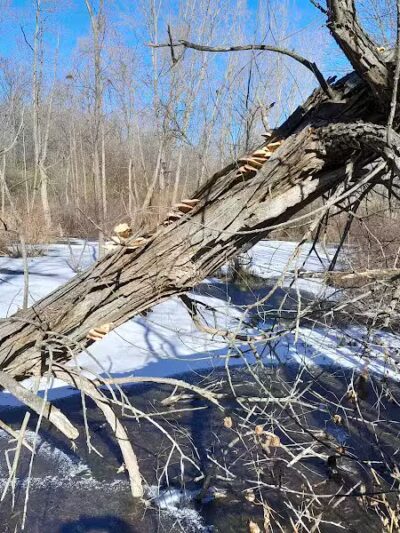 Haver Ridge Metro Park - Harrod, OH