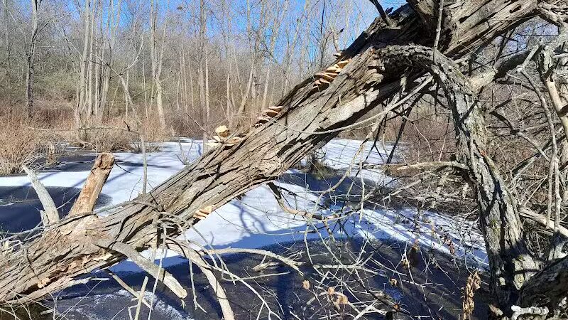 Haver Ridge Metro Park - Harrod, OH