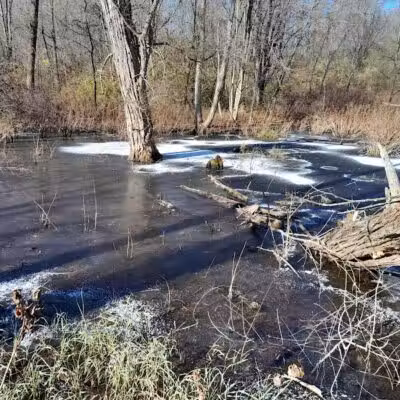Haver Ridge Metro Park - Harrod, OH