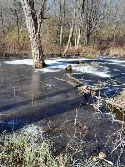 Haver Ridge Metro Park - Harrod, OH