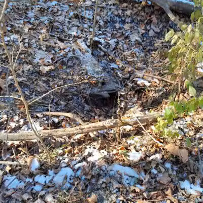 Haver Ridge Metro Park - Harrod, OH