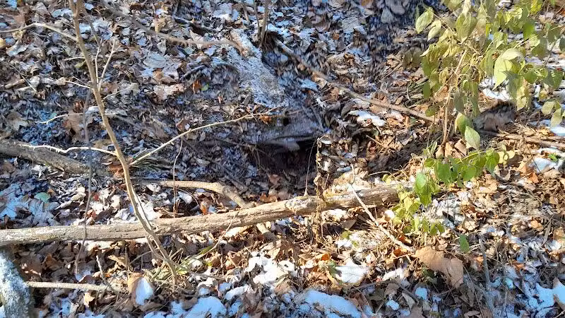 Haver Ridge Metro Park - Harrod, OH