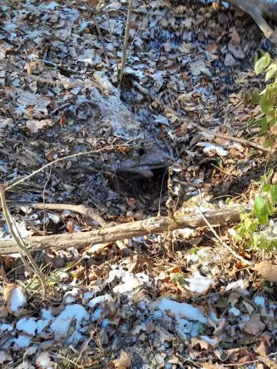 Haver Ridge Metro Park - Harrod, OH