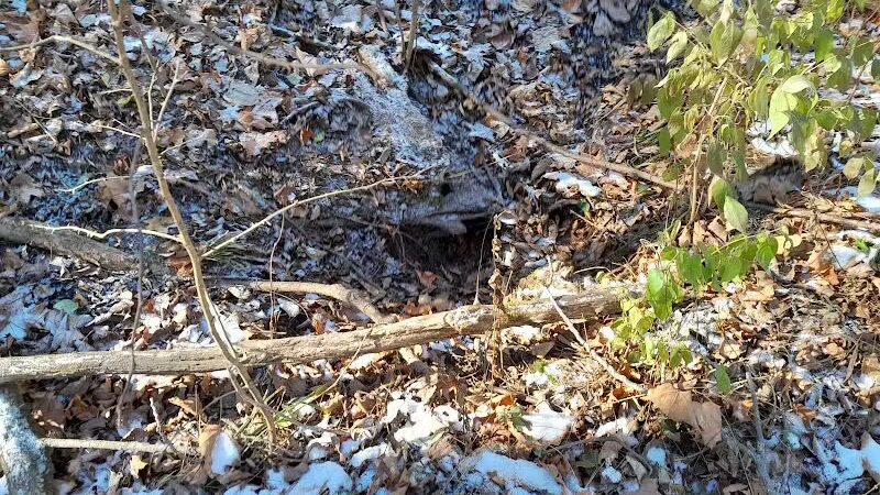 Haver Ridge Metro Park - Harrod, OH