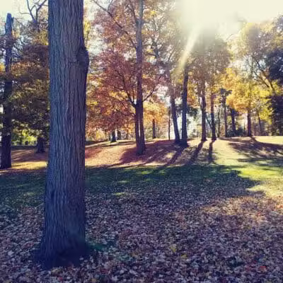 Hartville Memorial Park - Hartville, OH
