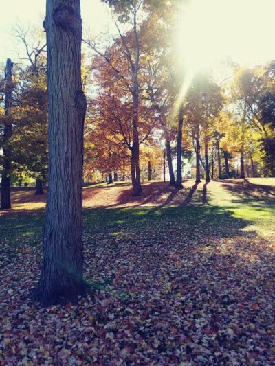 Hartville Memorial Park - Hartville, OH