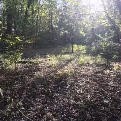 Hartville Memorial Park - Hartville, OH