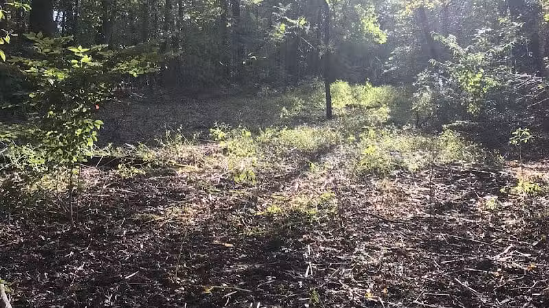 Hartville Memorial Park - Hartville, OH