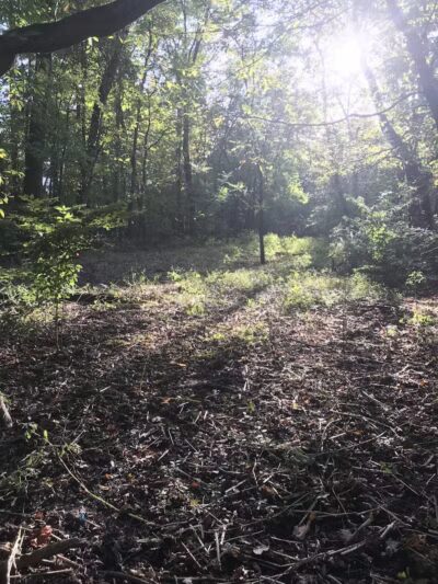 Hartville Memorial Park - Hartville, OH