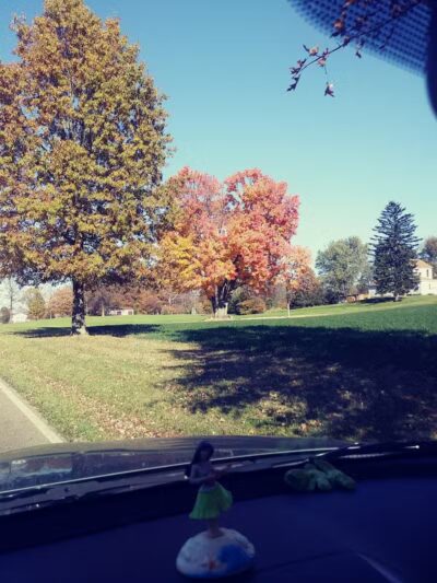 Hartville Memorial Park - Hartville, OH