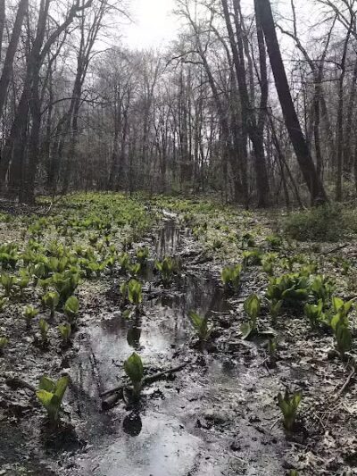 Hartville Memorial Park - Hartville, OH