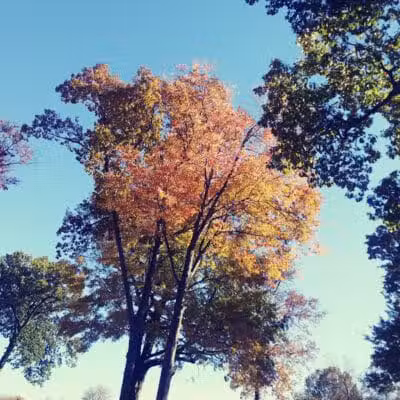 Hartville Memorial Park - Hartville, OH