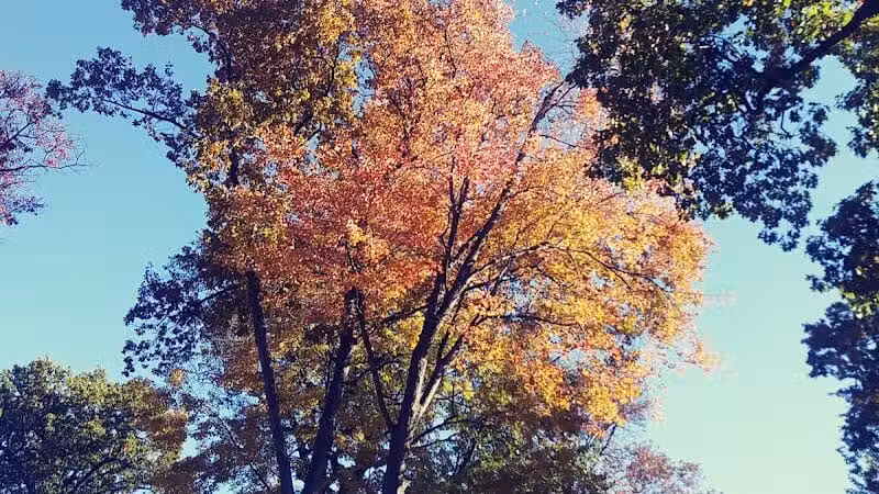 Hartville Memorial Park - Hartville, OH